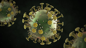 HIV - human immunodeficiency virus