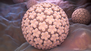HPV - Human papillomavirus